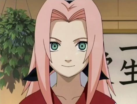 sakura.jpg